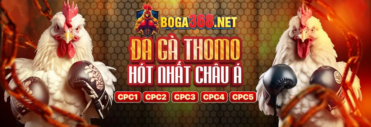 Giao diện sòng bạc trực tuyến c1688 hiện đại và hấp dẫn